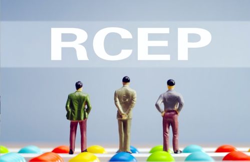 商務部推出五大舉措，助力企業搭乘RCEP“快車”