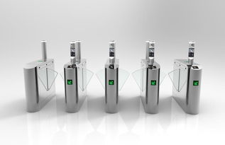 智慧機場面部識別系統 