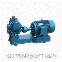 YHCB系列圓弧齒輪油泵生產(chǎn)廠/油罐車裝載泵 50YHCB-15 汽車只有圓弧齒輪油泵銷售價格/河北泊頭Y