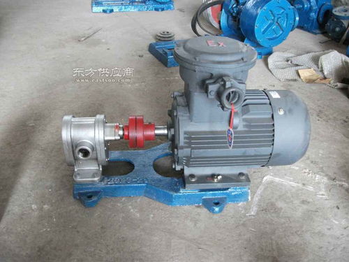 紅旗高溫泵廠專業設計生產 2cy 12 2.5齒輪油泵圖片