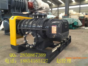 供應沼氣羅茨鼓風機 價格選型 廠家直銷,供應沼氣羅茨鼓風機 價格選型 廠家直銷生產廠家,供應沼氣羅茨鼓風機 價格選型 廠家直銷價格