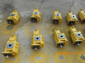 專業(yè)雙聯(lián)齒輪油泵選購(gòu)指南 廠家、型號(hào)、質(zhì)量與價(jià)格全解析